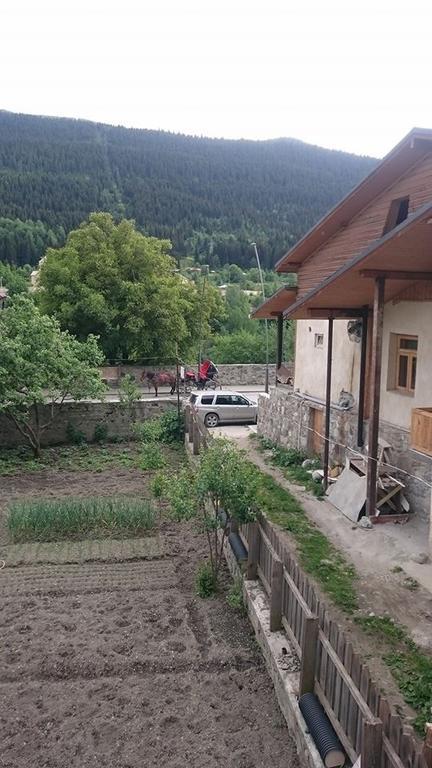 N&N Guest House Mestia Kültér fotó